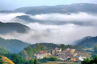 331屻϶Ϊȫʾ