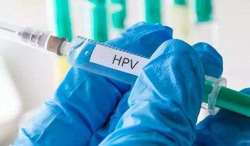 <b>˷Χ㡢۸ƣHPV Լ</b>