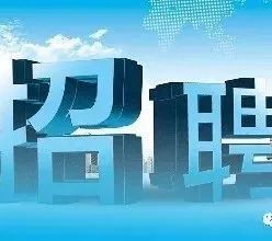 粿гƸ