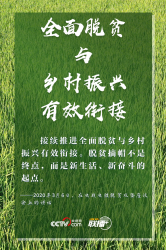 +֮ ϰƽġũ黳