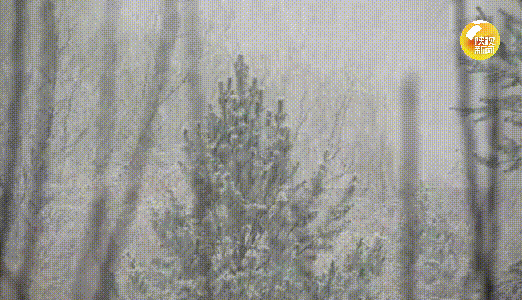 ֳմѩ׷ δ콫нˮ¡