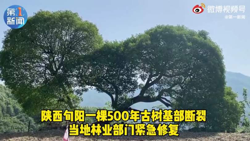 500 ҵŽ޸