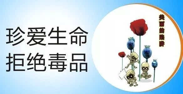 2020ʡƻƷ°1994