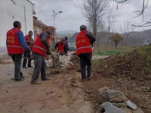 رȫɨա