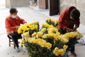 华阴西岳陵园倡导文明祭祀  鲜花免费送群众