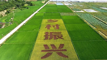 ò | 崨Ʈ