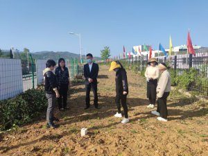 汉中市西乡县城东幼儿园教职工改造种植园