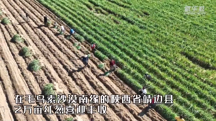 ռţߣաζϡ 񳯡硱