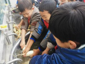 汉中市西乡县峡口镇中心学校开展劳动实践教育