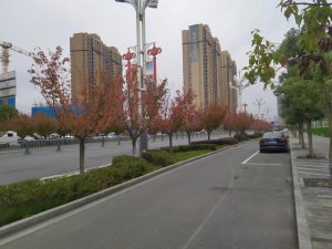 <b>кⰻȻ̬</b>