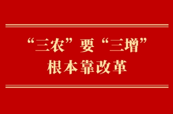 һ۲ũҪĸ