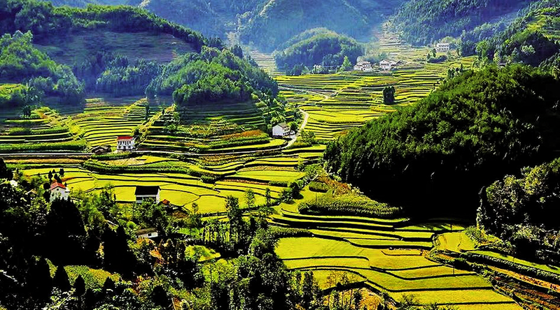 <b>ƽ顰Ͳ˻</b>