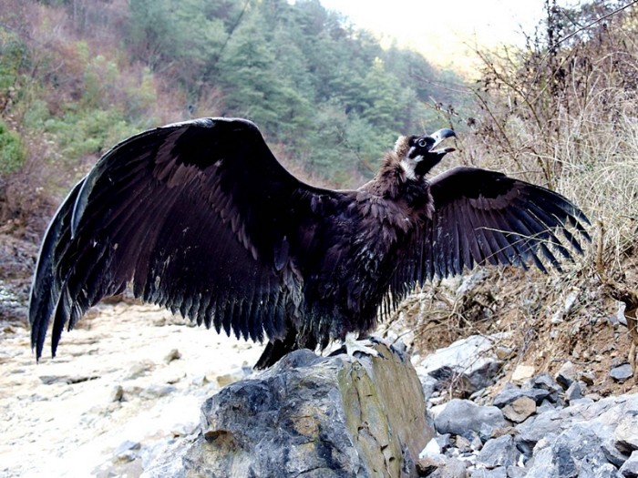 52021118գǿذ̬ĹԱȬͺշŹɽ֡.jpg
