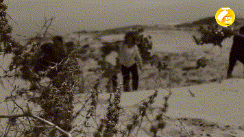 ΢ͼƬ_20210423085144.gif