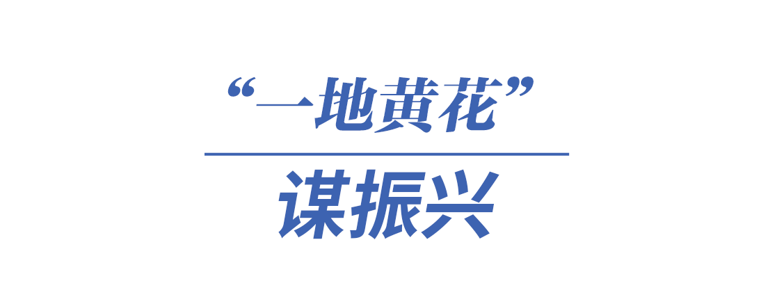 b8a090b2b5b297a22678e96fcd78e13c.png