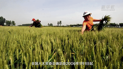 9c1401c609387ee6dd69197d0f0229d8.gif