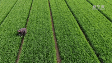 1bf2c1404bdcb00783a395328064fa2b.gif