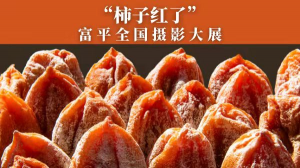 μиƽؽٰ조ӺˡȫӰ