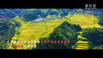 dde727fa09159e81faa308bcfe9a8f85.gif