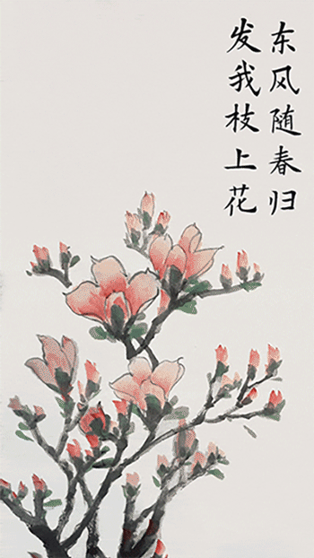 215ac2ffff97666b7e1aff51f931c51a.gif