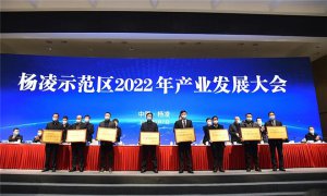 йũƳǡδ 2022辭÷չͼѻ