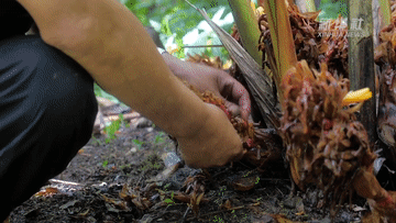 561b392a9e0e59bf782cbef3ea339c7e.gif