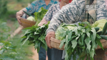 4dcd8cd1c5dd82e6ec48ecf6c1776258.gif