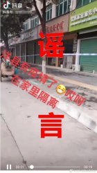 ز鴦һҥ