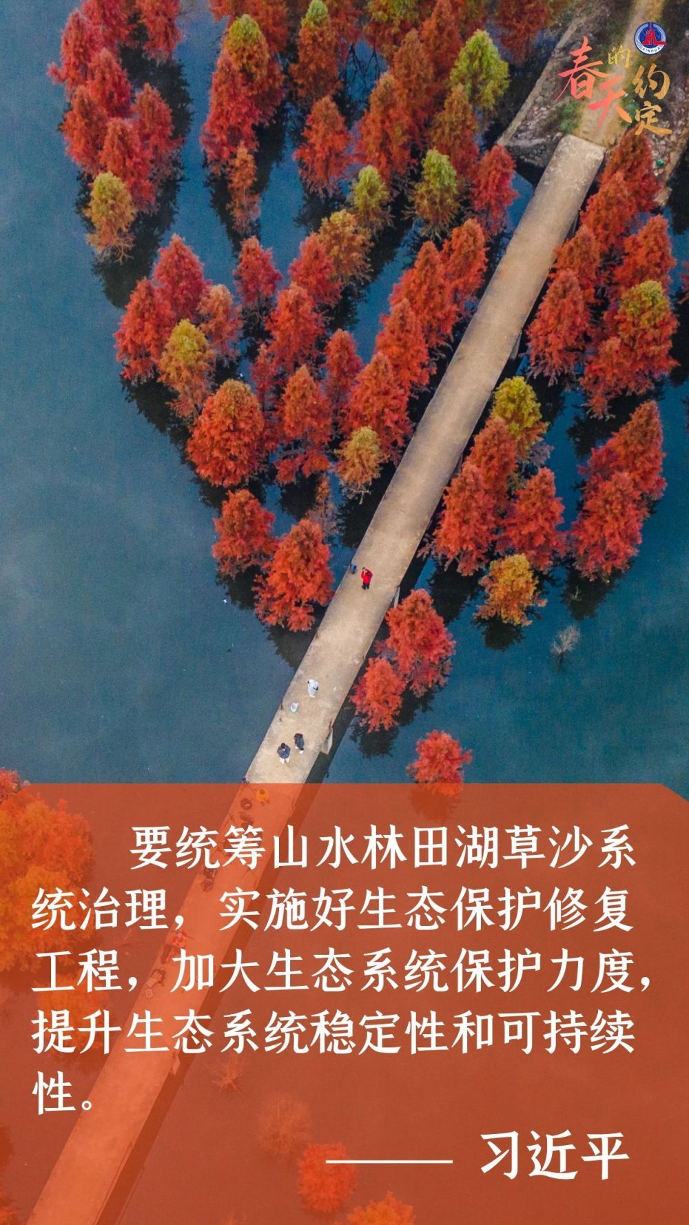34a0b80bc3f1fc2b05b60e690b7d7fc2.jpeg