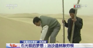 ʯ룺ɳֳ