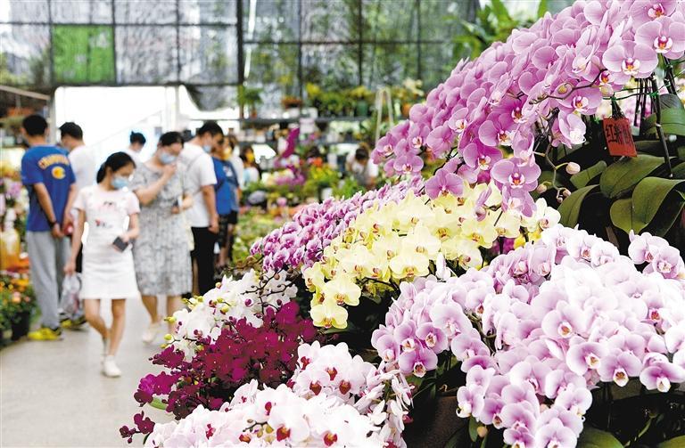 5月29日，市民在西安际华3511文创科技园内的花市休闲。　　新华社记者 刘潇 摄