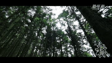 0e01c4f64fedcd513befd0442e02ad4a.gif
