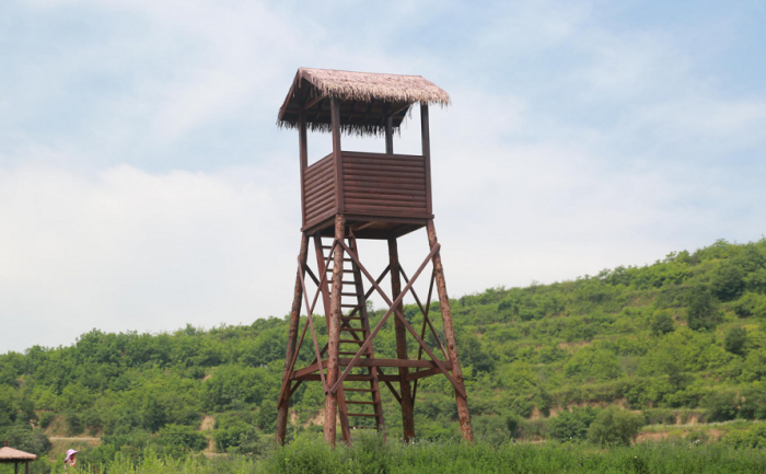 WechatIMG5.png