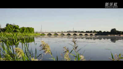 c732e548667aaceba5a84c771a87ebe0.gif