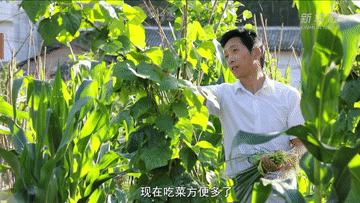 4cdbc66f935933489a1d688d2ceb81a8.gif