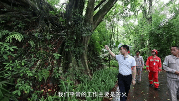 12fe546fc26ebc88aae24e2be28340aa.gif