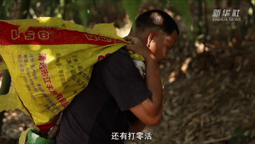 0289b025c8965a17eac2b4ff19104293.gif