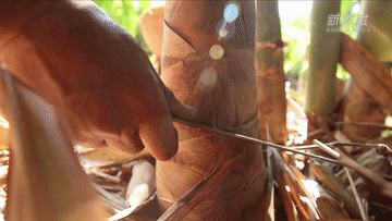 56a372de3ee565df18193a4f40b81aea.gif