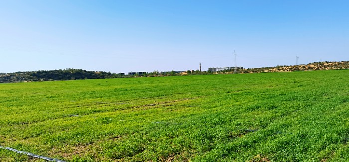 ͼƬ3μݵظֲ.jpg