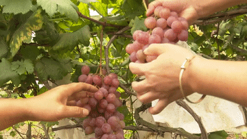 8333f0024d7626b8019a0596a96625e5.gif
