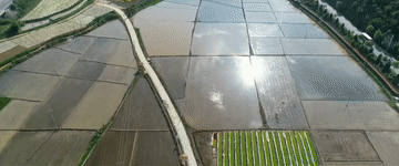 2da9a5367bff122f057a77df5a6070c3.gif