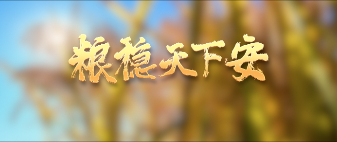 5db386215bab9e08572a387816a1637b.png