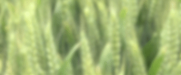 747a04fd1499dc50b240cfa5851c96a7.gif