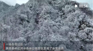 ѩӹ续