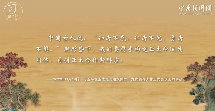 23104250.png