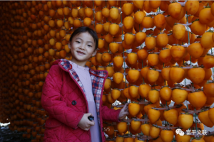 首届靖和杯“富平柿饼 甜蜜中国”全国摄影大赛揭晓