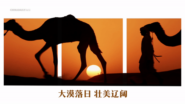 6e71e80da1ca70ae6b61f36ab3437add.gif