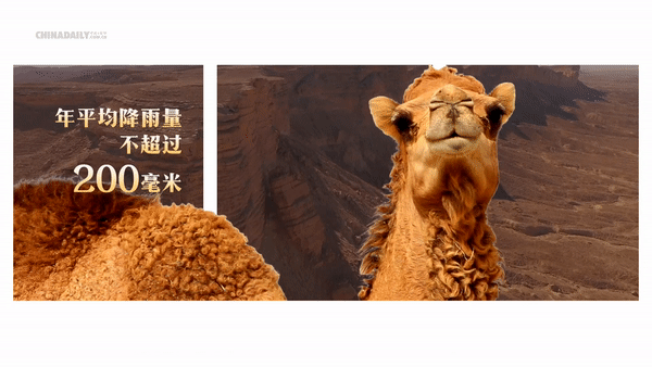 863bb400df040e8da19ebb743576cbdf.gif