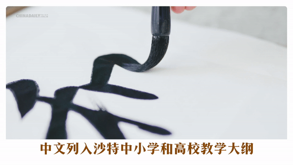 533f4f5f2d3235a90de1cb34a4804587.gif