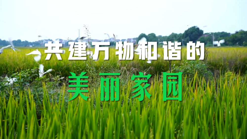 a5f18d394bc9a9a758f68e7758310aba.jpeg